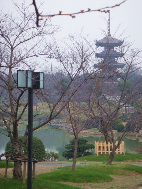 dsc03481.jpg
