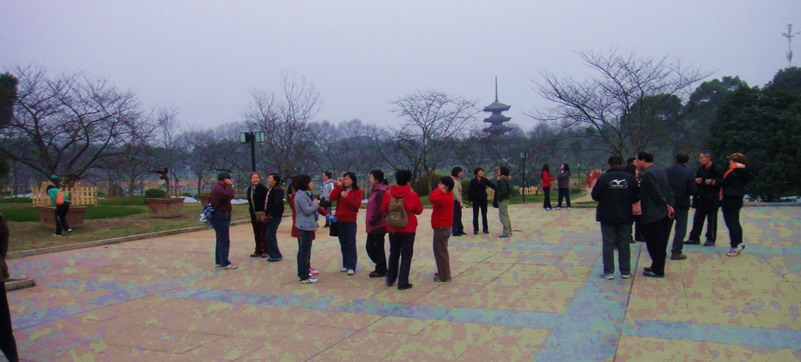 dsc03503.jpg