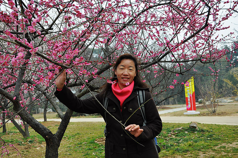 dsc_0855.jpg