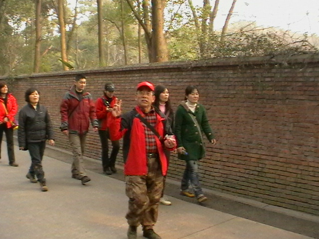 imga0378.jpg