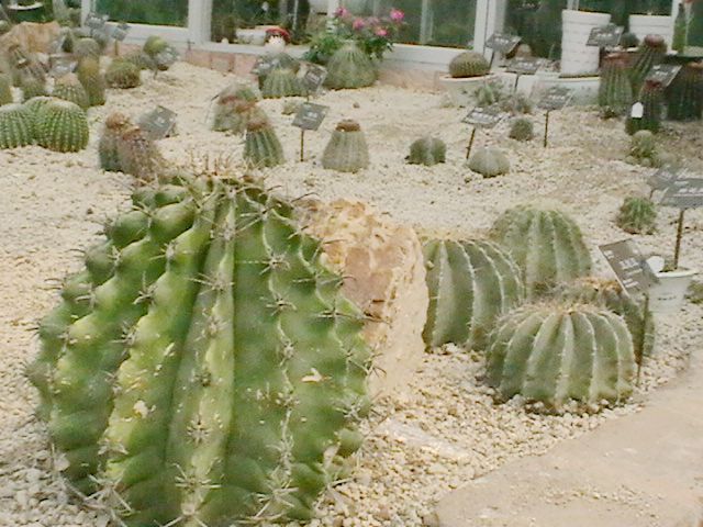 imga0347.jpg
