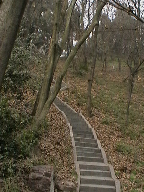 imga0373.jpg
