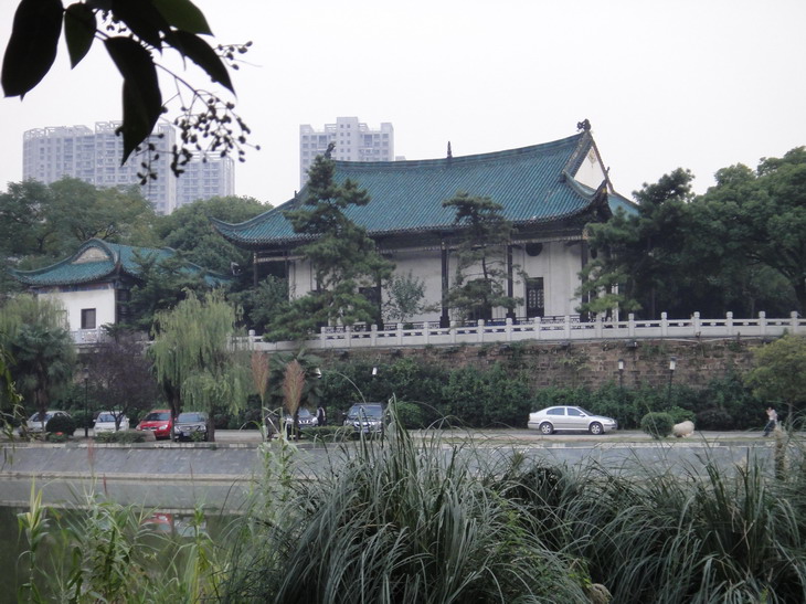 dsc03716.jpg