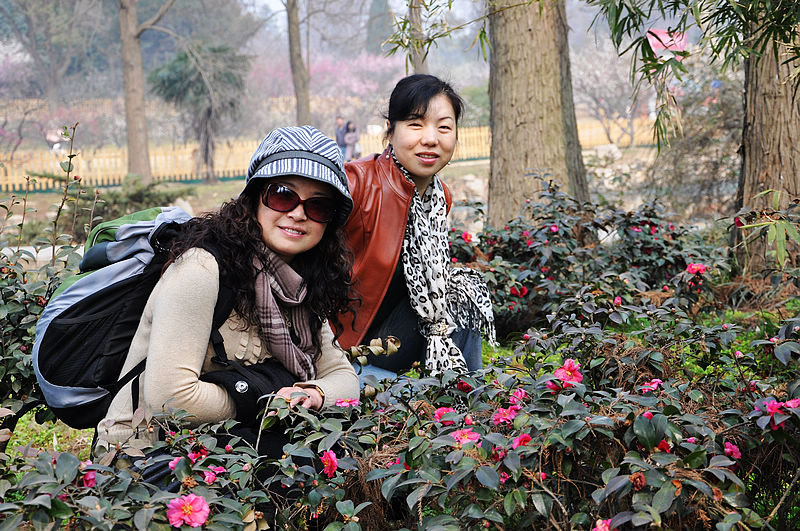 dsc_0925.jpg
