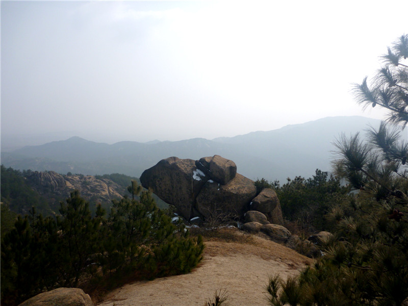 p1040738_.jpg