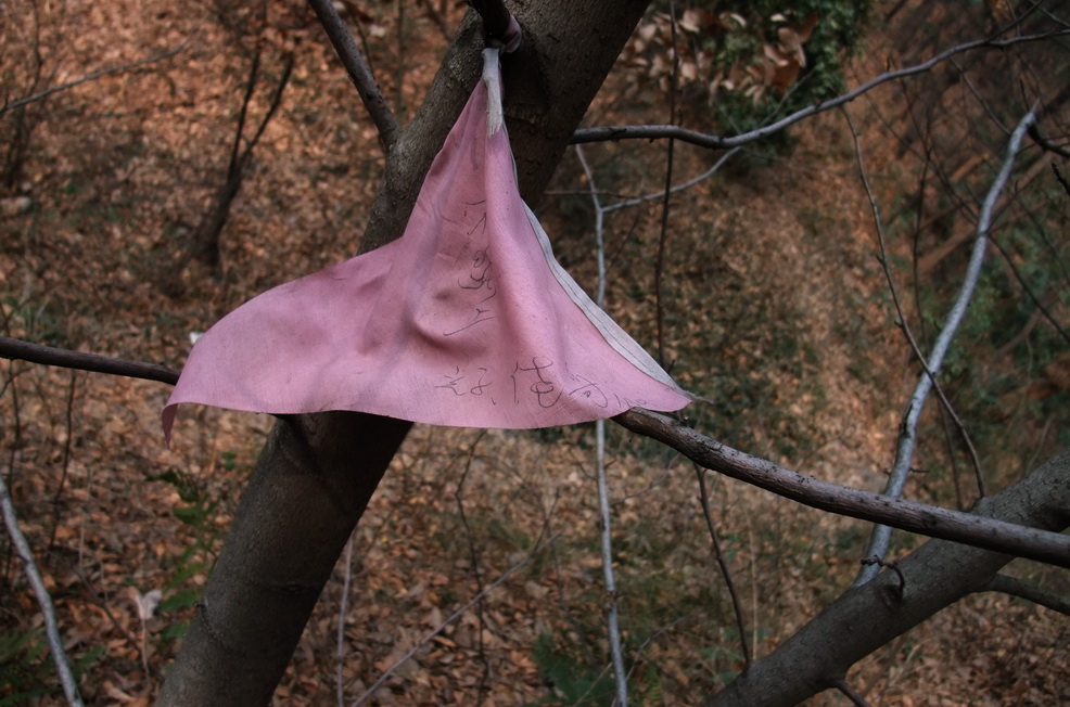dscf9499.jpg