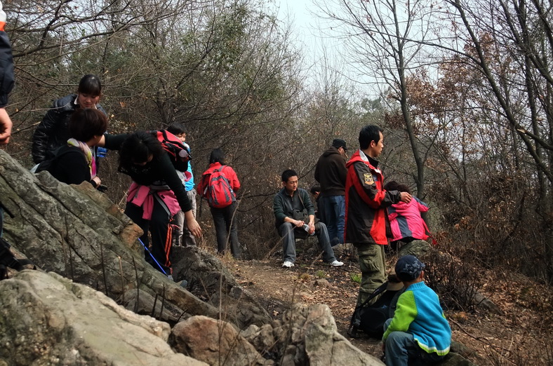 dscf9503.jpg