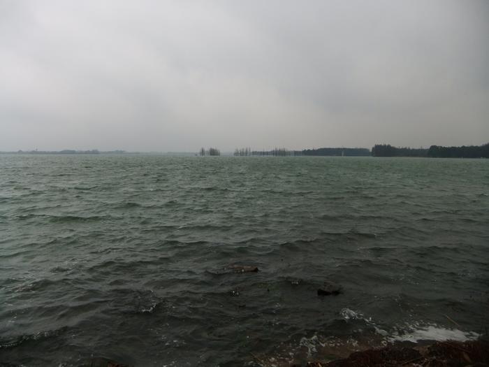 dscf4137.jpg