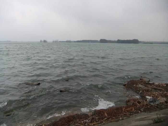 dscf4140.jpg