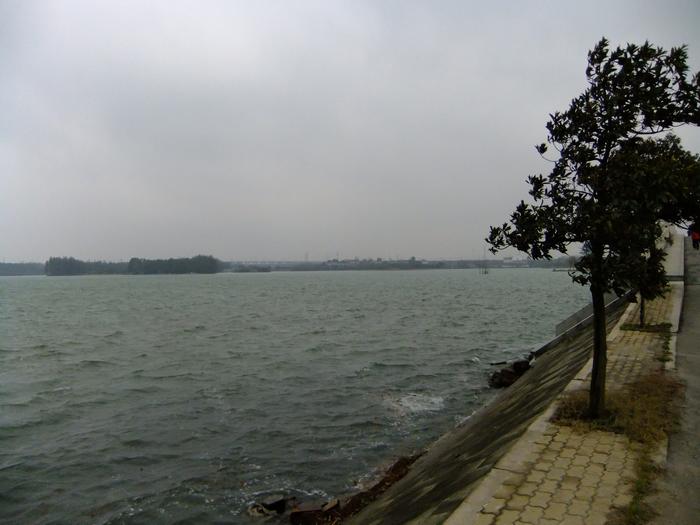 dscf4143.jpg