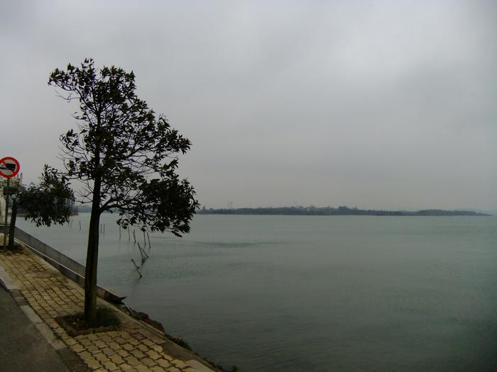 dscf4144.jpg