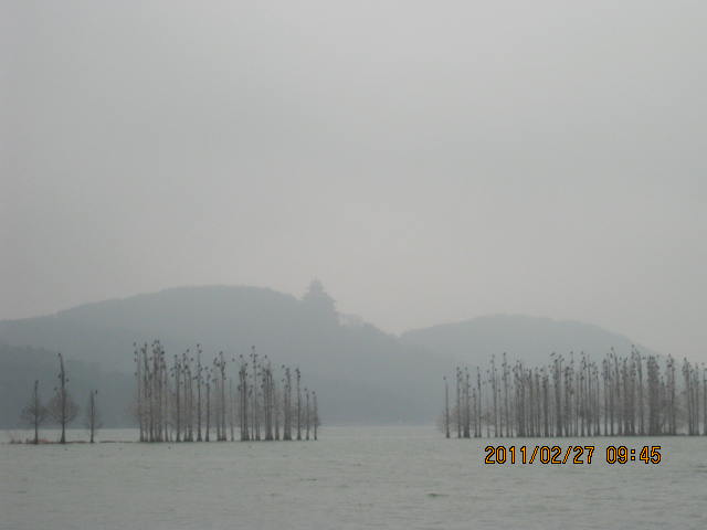 img_1545.jpg