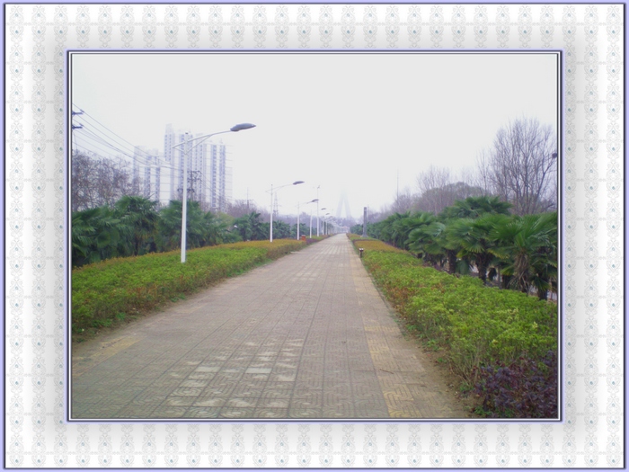 dscn8317.jpg