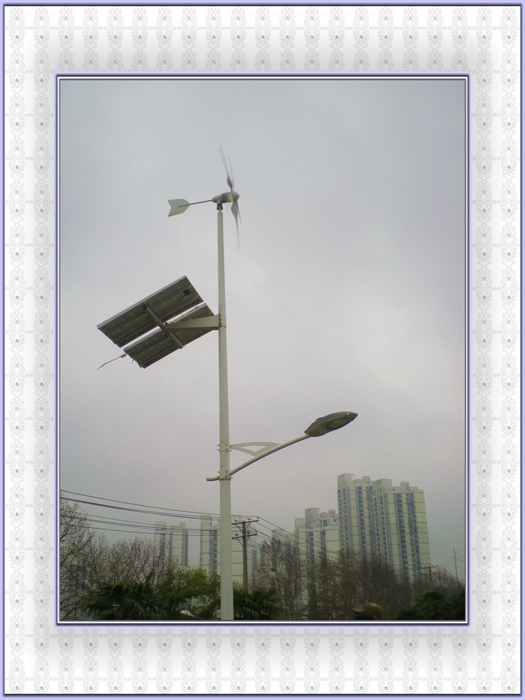 dscn8318.jpg
