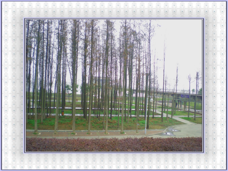 dscn8322.jpg