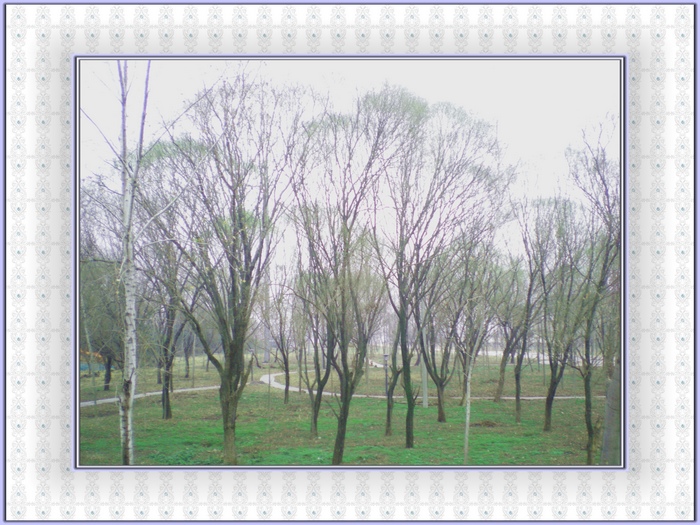 dscn8319.jpg
