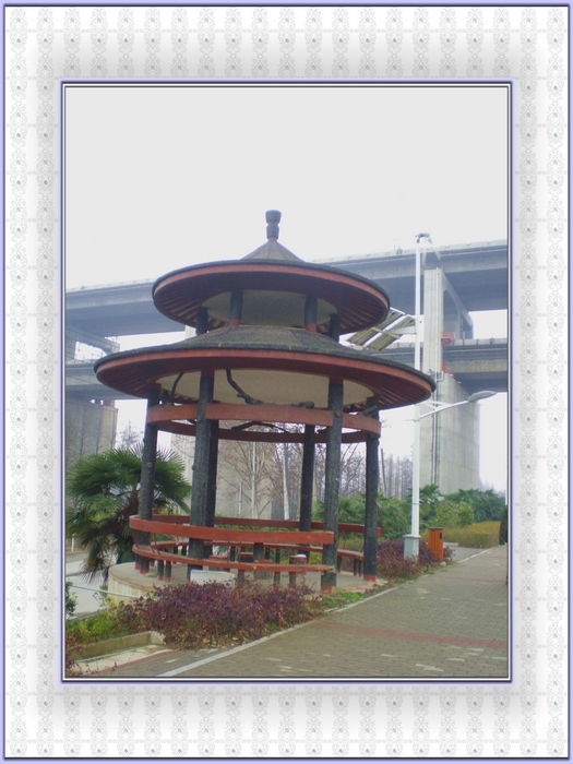 dscn8328.jpg