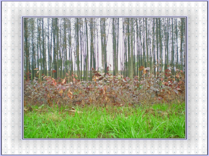 dscn8324.jpg