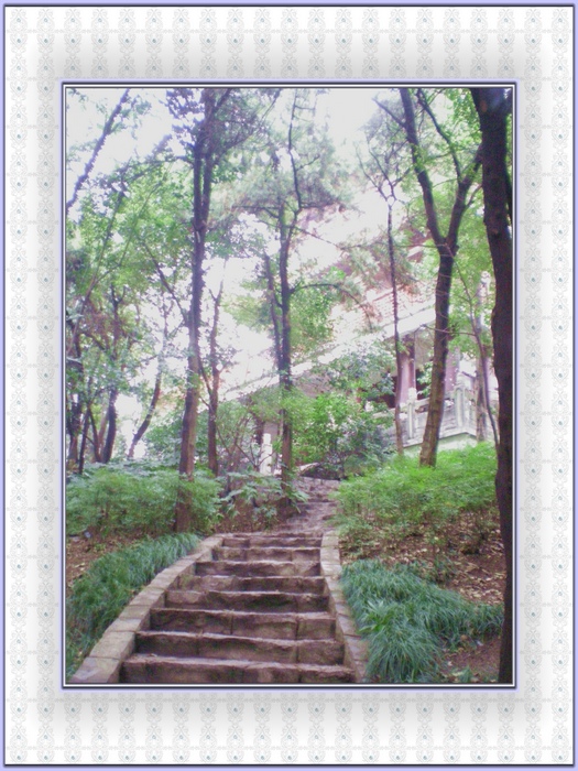 dscn8294.jpg