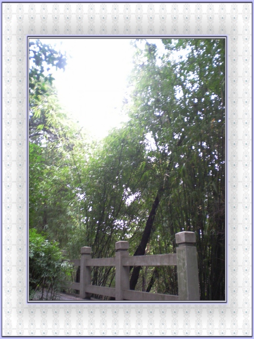 dscn8295.jpg