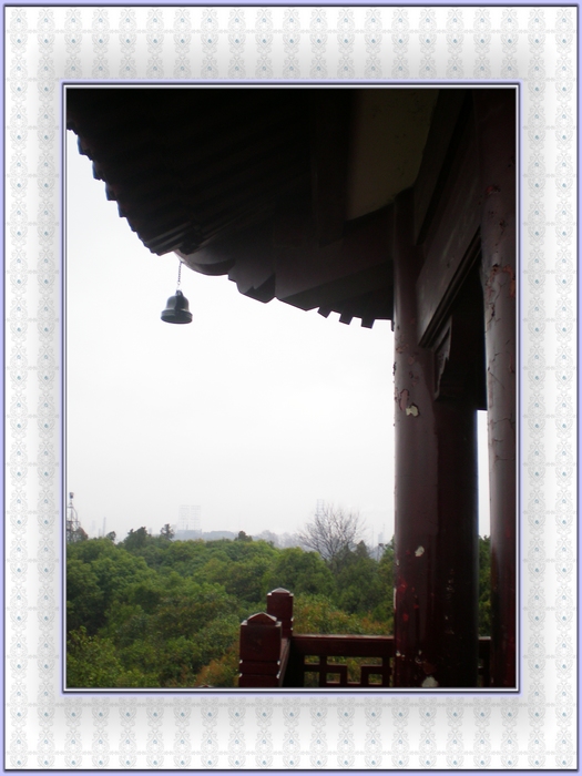 dscn8298.jpg