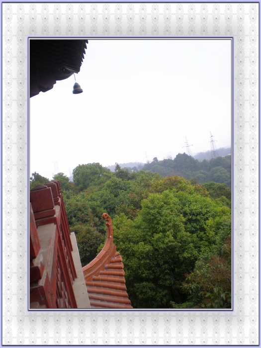 dscn8302.jpg