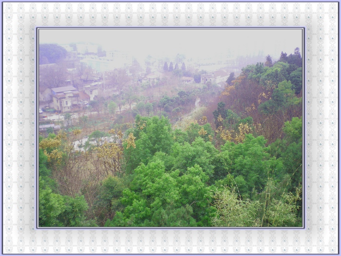 dscn8301.jpg