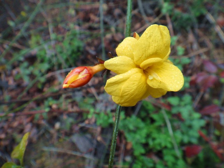 dsc03814.jpg