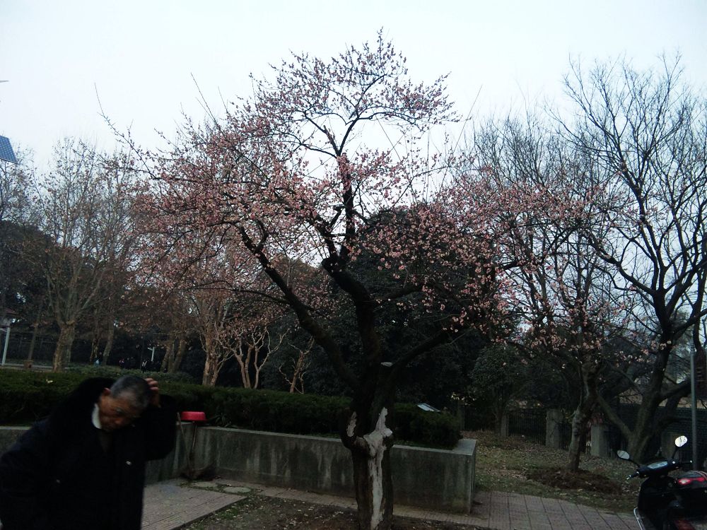 neo_img_dvc00050.jpg