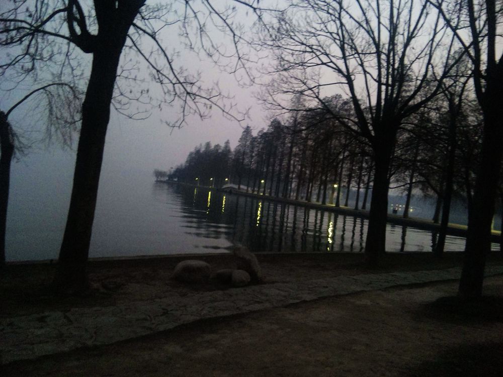 neo_img_dvc00061.jpg