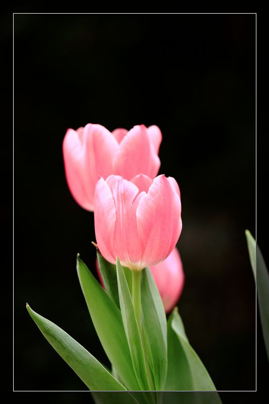 img_7262.jpg