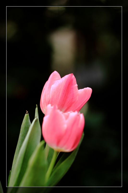 img_7263.jpg
