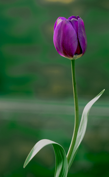 dsc_4891a.jpg
