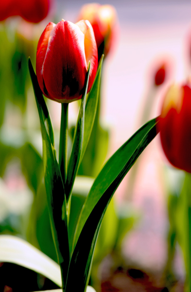 dsc_4896a.jpg