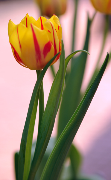 dsc_4898a.jpg