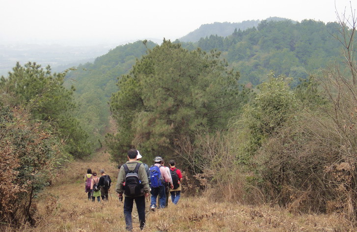 dsc02185.jpg