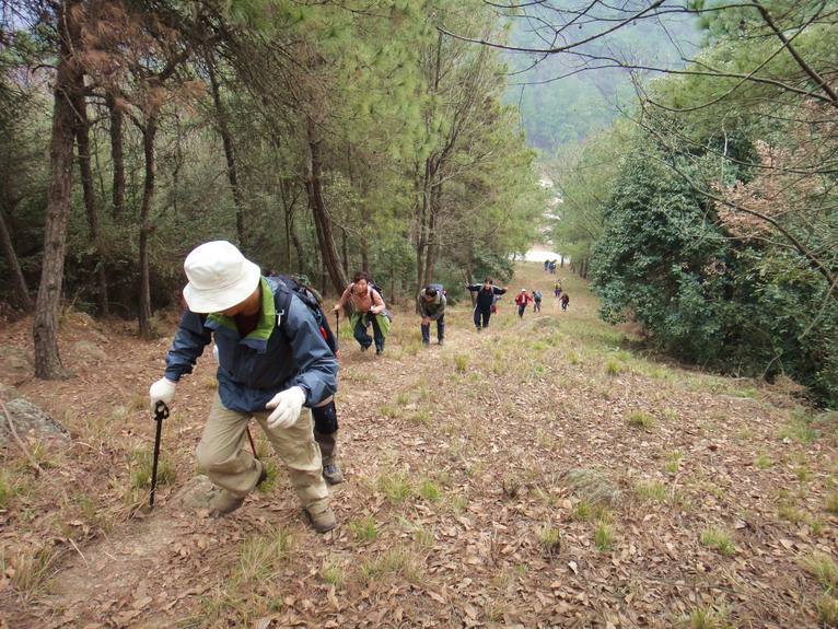 dsc02194.jpg