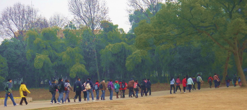dsc02246.jpg
