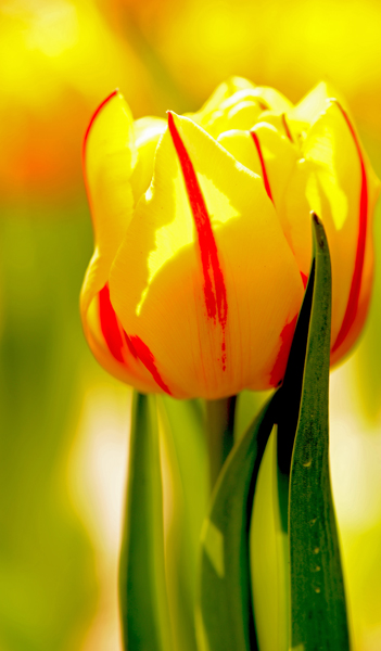 dsc_4901a.jpg