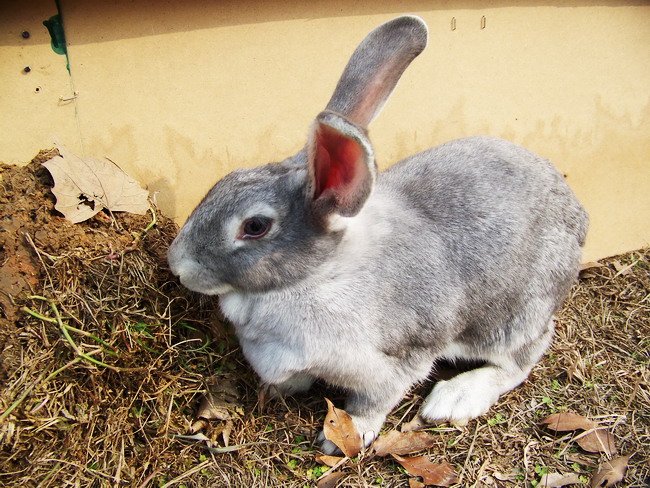100_7494.jpg