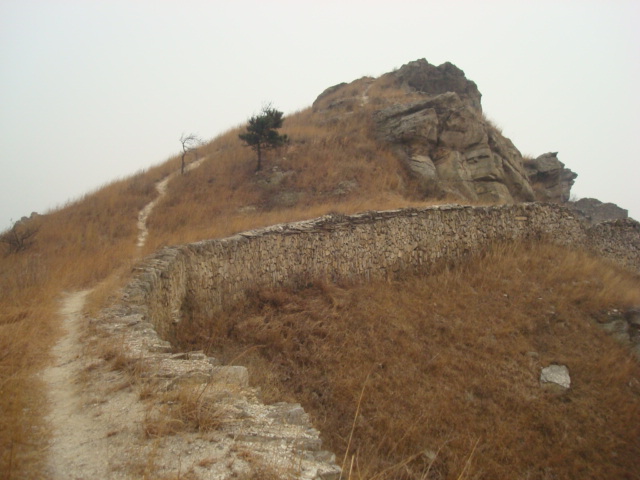 dsc09588.jpg