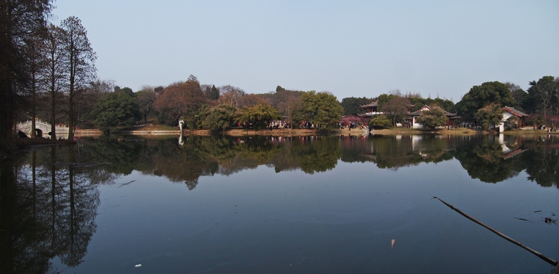 qjt1.jpg