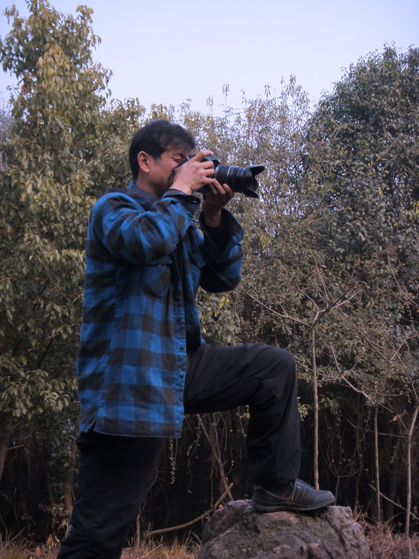 s73f1388.jpg