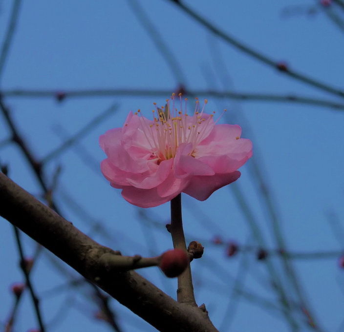 dscf9073.jpg