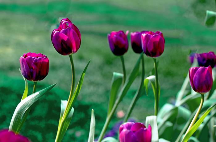 dsc_5047a.jpg