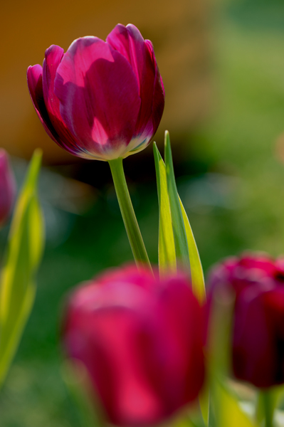 dsc_5048a.jpg
