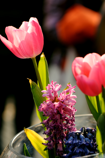 dsc_5176a.jpg