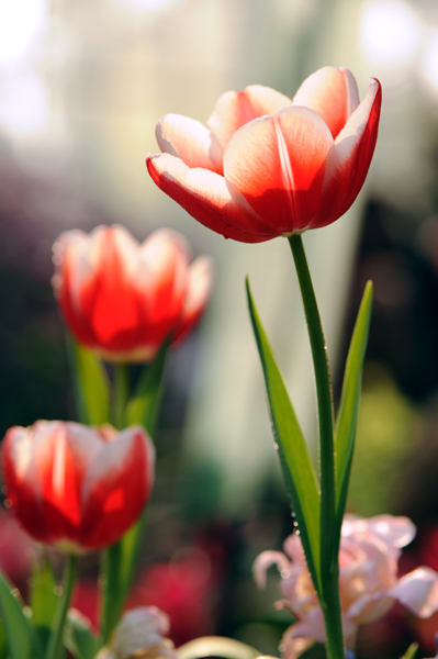 dsc_5180a.jpg
