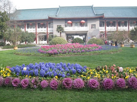 01.jpg