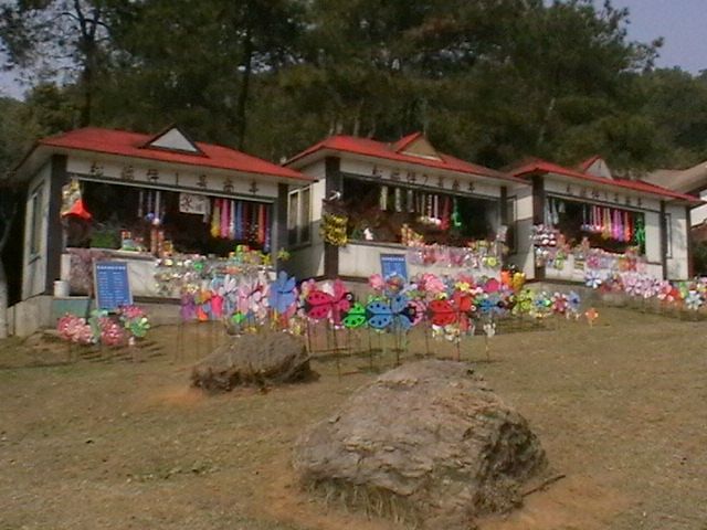 imga0650.jpg